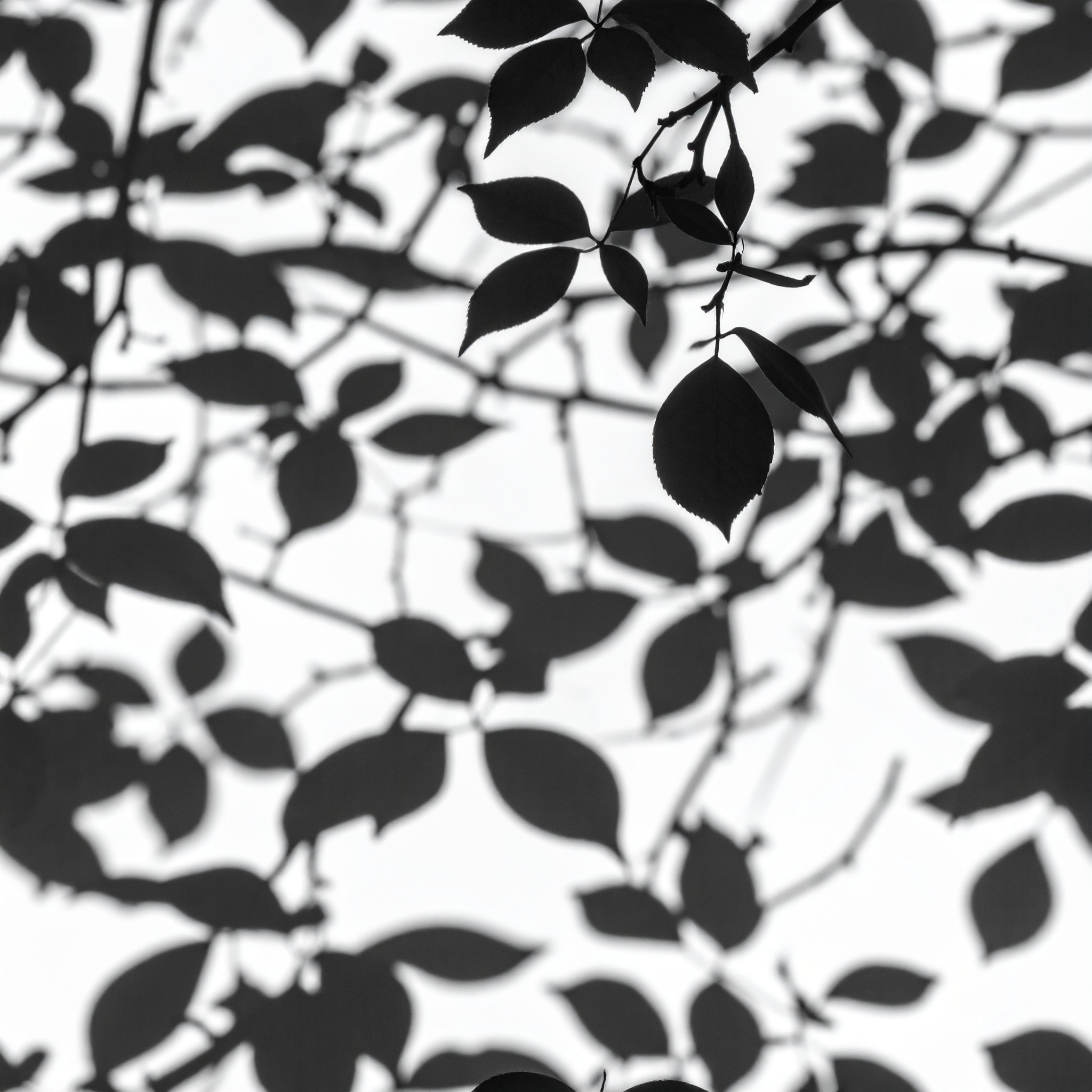 Gobo: Foliage